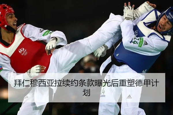 bai-ren-mu-xi-ya-la-xu-yue-tiao-kuan-bao-guang-hou-zhong-su-de-jia-ji-hua-2-992.jpg