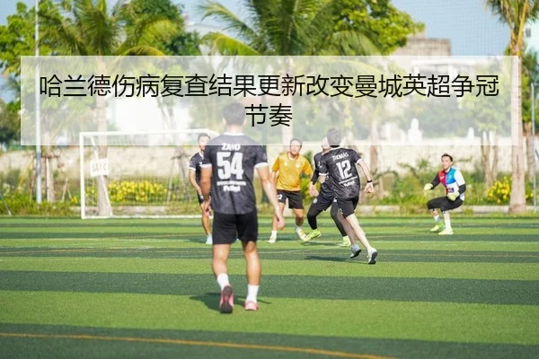 ha-lan-de-shang-bing-fu-cha-jie-guo-geng-xin-gai-bian-man-cheng-ying-chao-zheng-guan-jie-zou-2-445.jpg