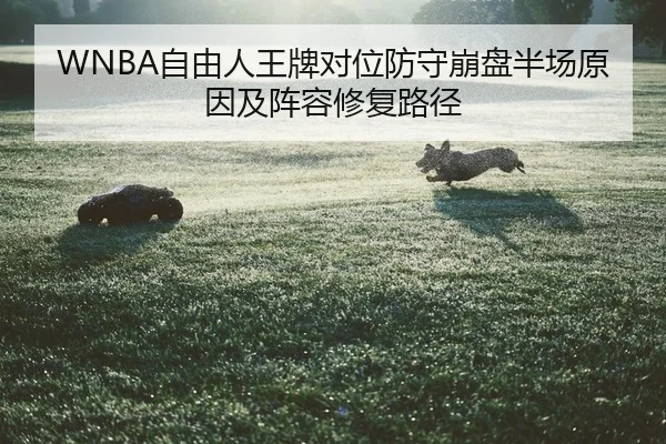 zi-you-ren-wang-pai-dui-wei-fang-shou-beng-pan-ban-chang-yuan-yin-ji-zhen-rong-xiu-fu-lu-jing-2-678.jpg